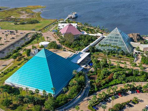 Galveston moody gardens - Moody Gardens is an educational conservation center revolving around nature and wildlife. You can enjoy an interactive experience with endangered animals and plants at the Rainforest and Aquarium Pyramids. Catch a show with the …